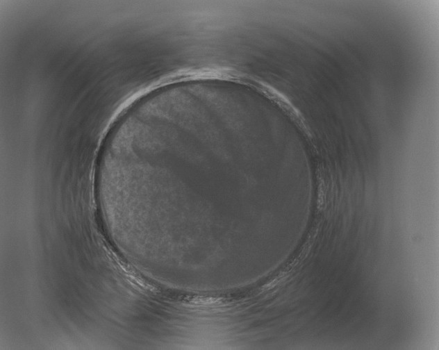 X0000080191174200612302304