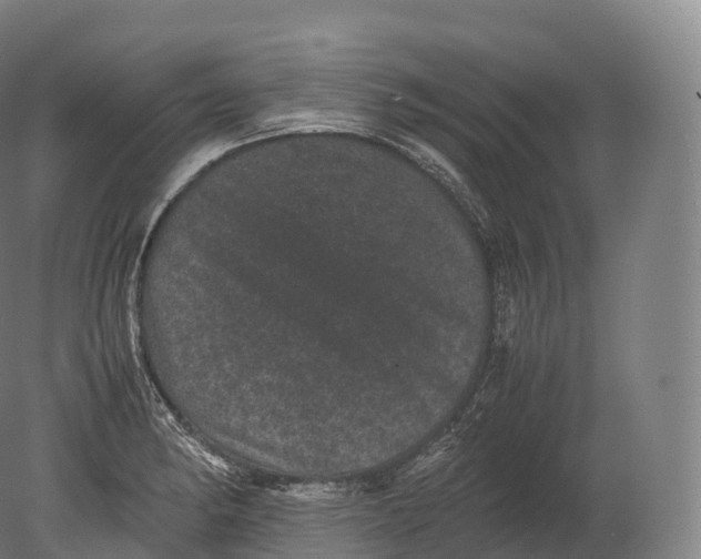 X0000080191182200612302304