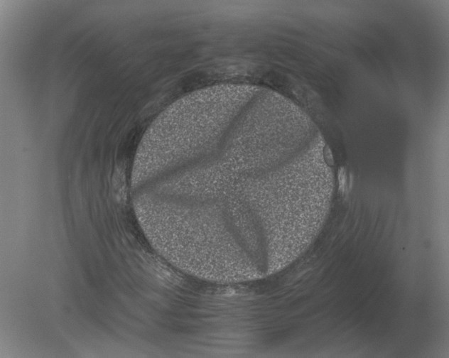 X0000080191203200612302303
