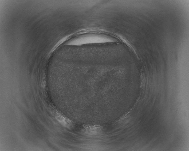 X0000080191213200612302303