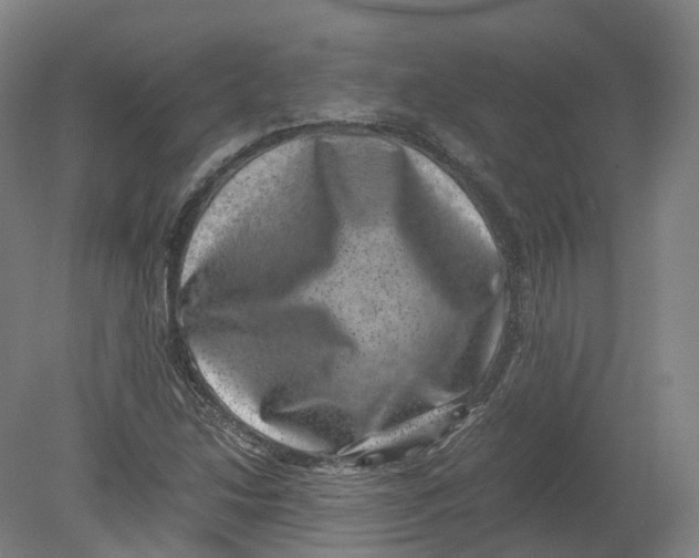 X0000080191214200612302303
