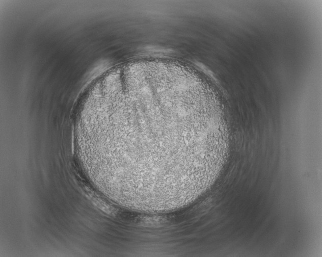 X0000080191219200612302303