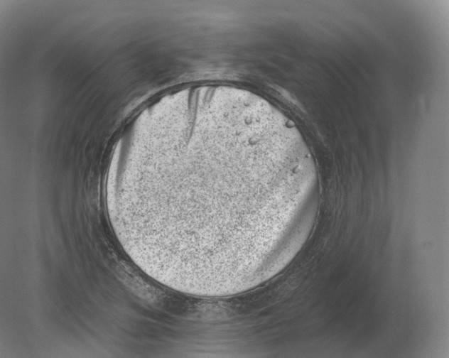 X0000080191220200612302303