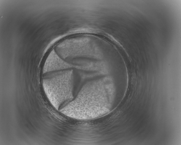X0000080191222200612302303