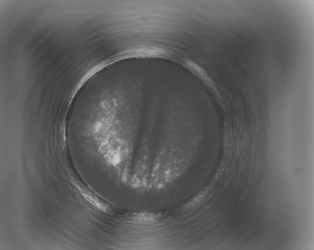 X0000080191226200612302303