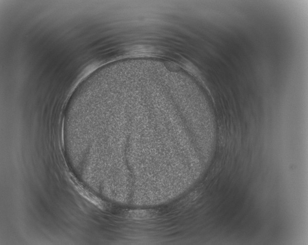 X0000080191227200612302303