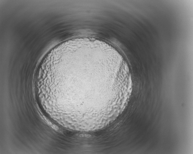 X0000080191235200612302303