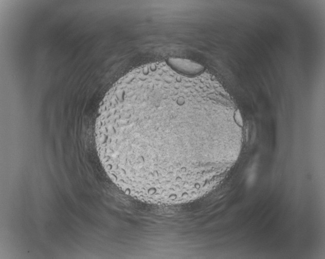 X0000080191251200612302302