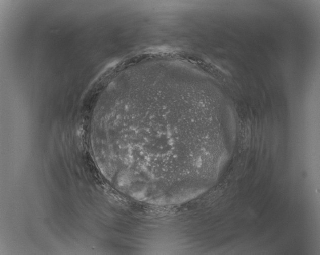 X0000080191254200612302302