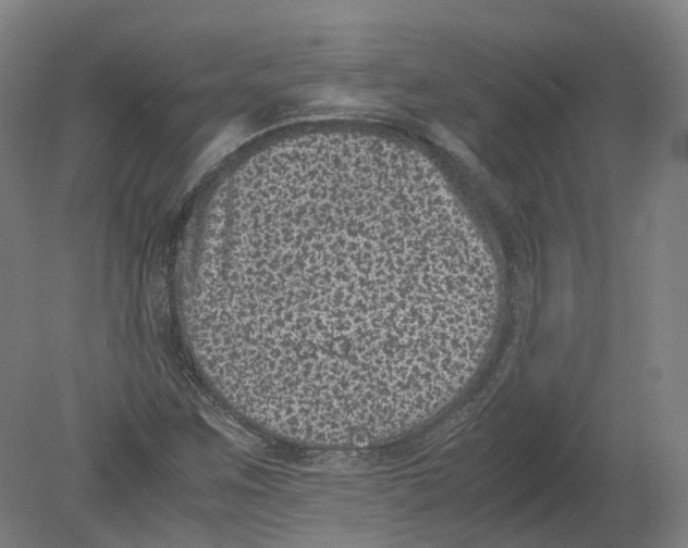 X0000080191259200612302302