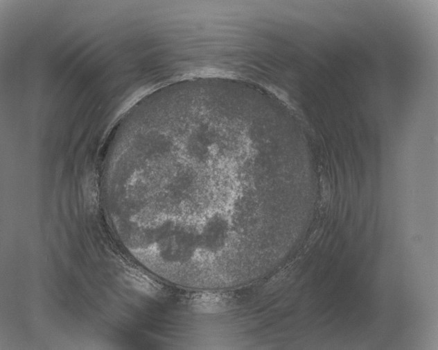 X0000080191266200612302302
