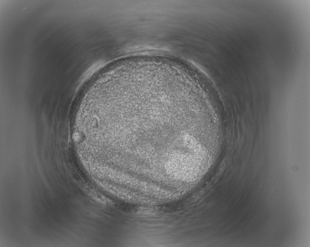 X0000080191267200612302302
