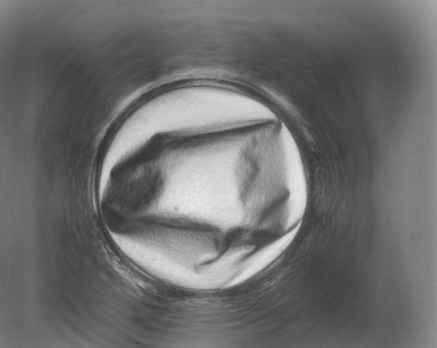 X0000080191272200612302302