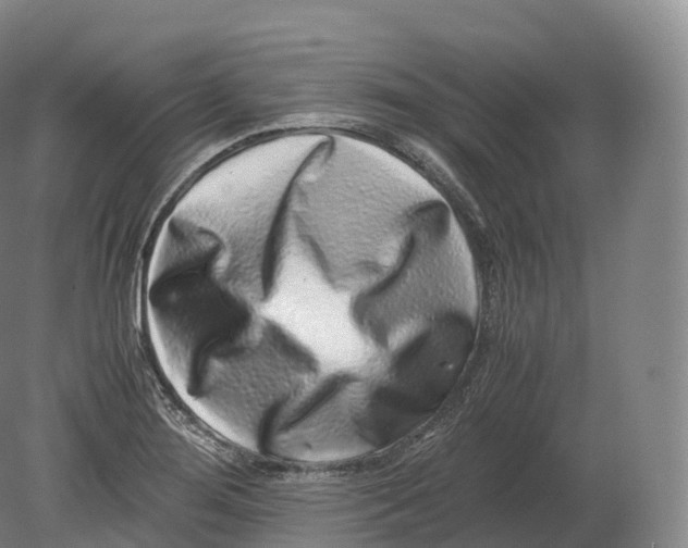 X0000080191276200612302302