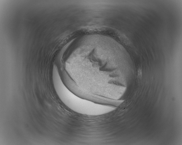 X0000080191300200612302301