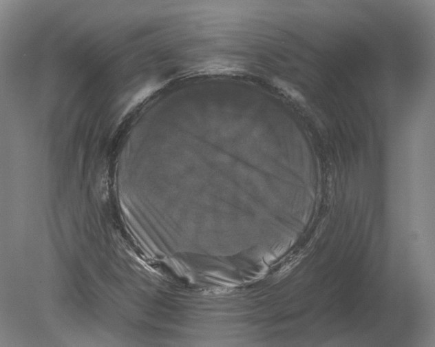 X0000080191306200612302301