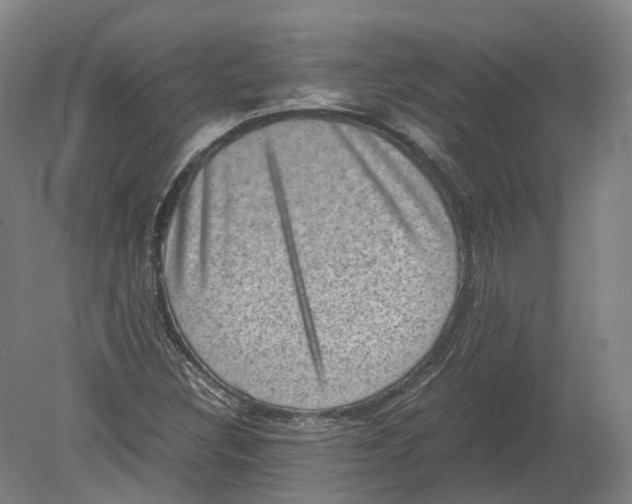 X0000080191308200612302301