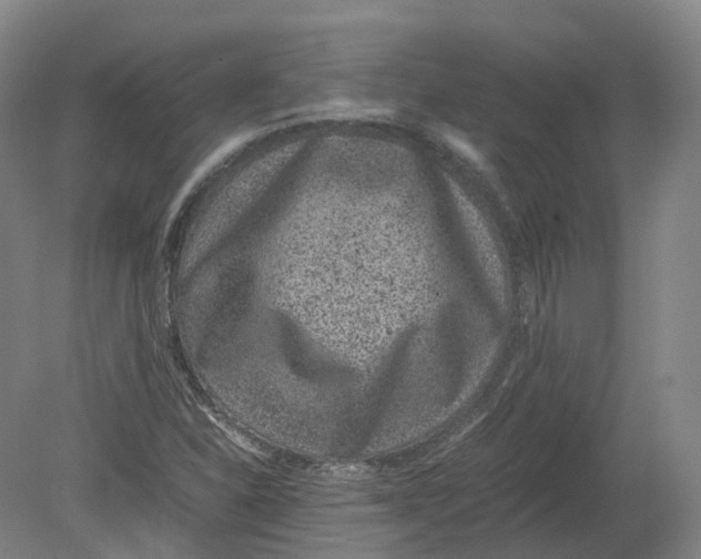 X0000080191310200612302301