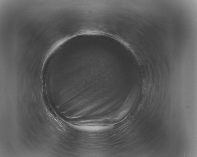 X0000080191319200612302301