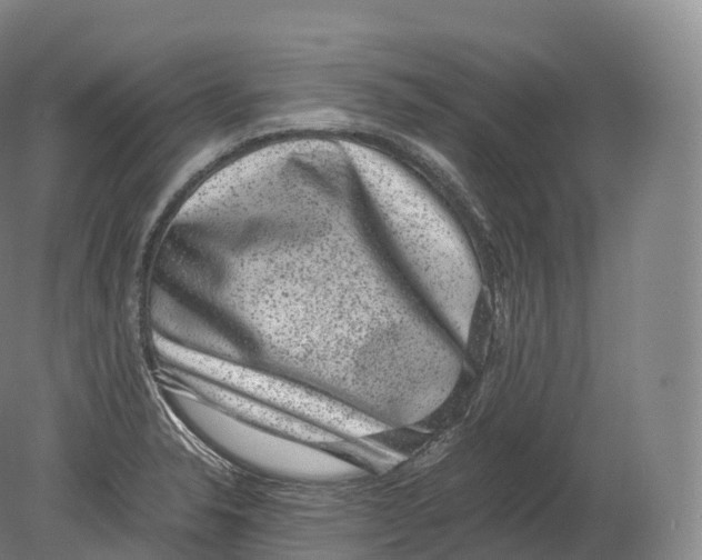 X0000080191326200612302301