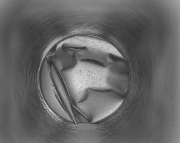 X0000080191344200612302302