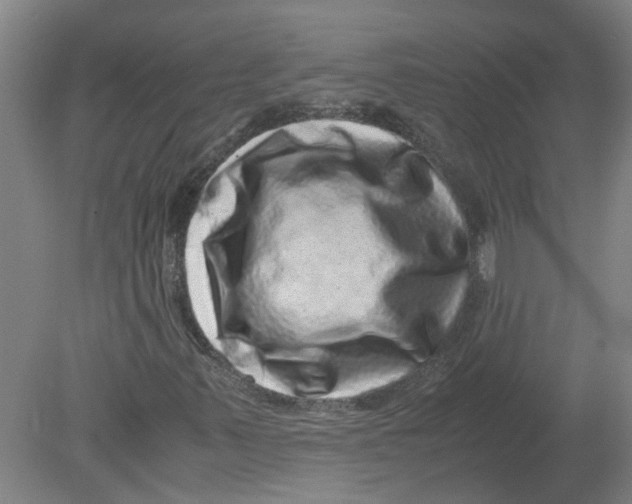 X0000080191347200612302301