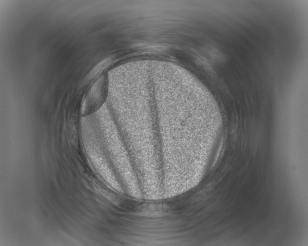 X0000080191354200612302301