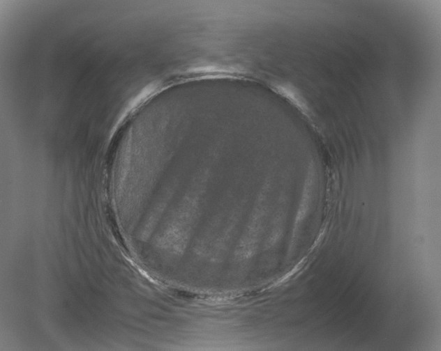 X0000080191357200612302301
