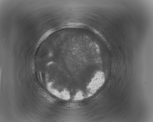 X0000080191362200612302301