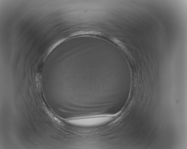 X0000080191369200612302301