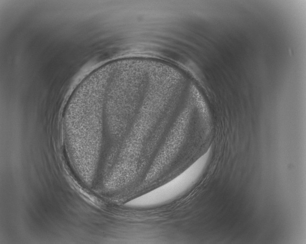 X0000080191371200612302300
