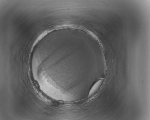 X0000080191373200612302300
