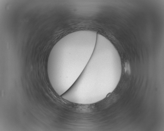 X0000080191396200612302259