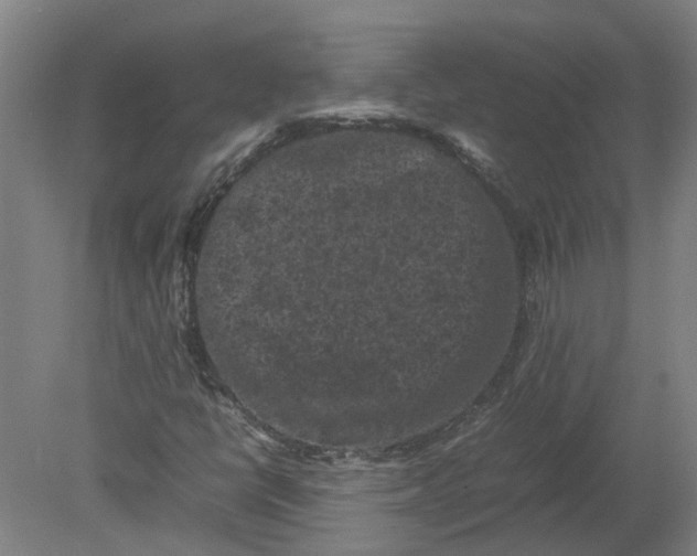 X0000080191398200612302259
