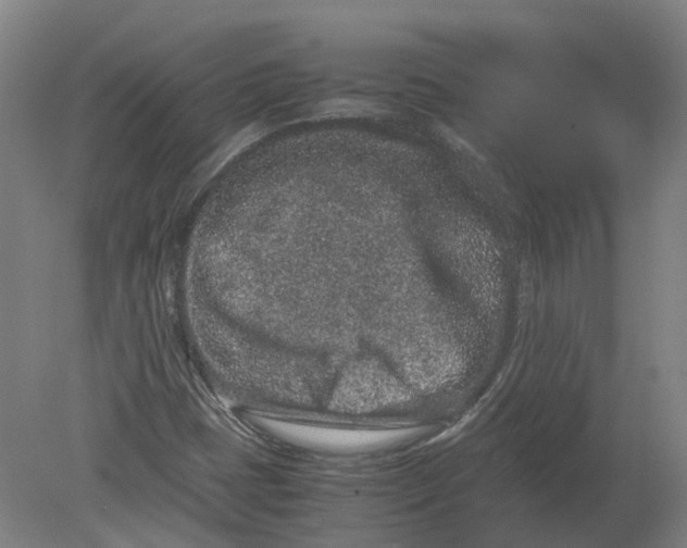 X0000080191401200612302259