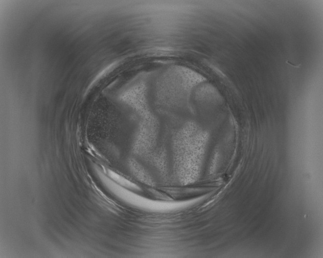 X0000080191402200612302259
