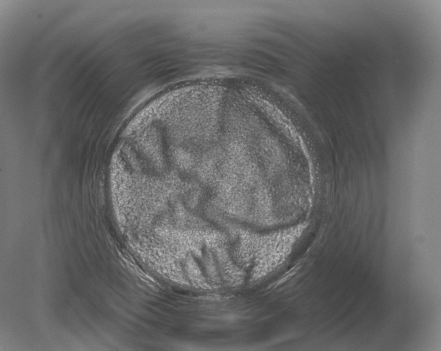 X0000080191409200612302300