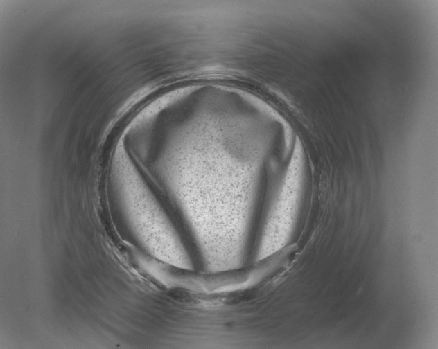X0000080191410200612302300