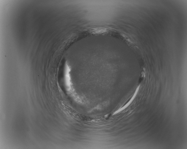 X0000080191441200612302259