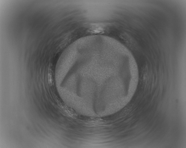 X0000080191442200612302259