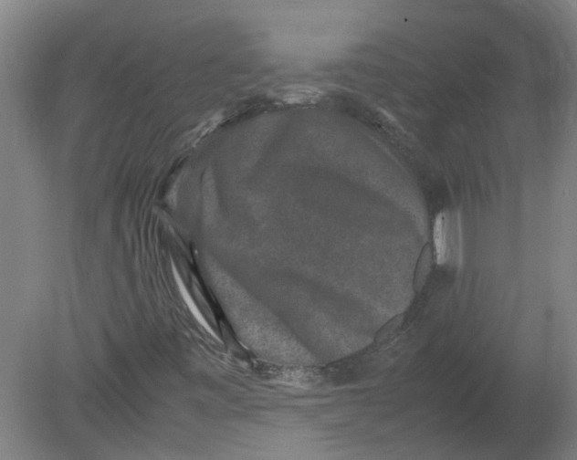 X0000080191443200612302259