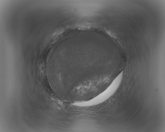 X0000080191445200612302259