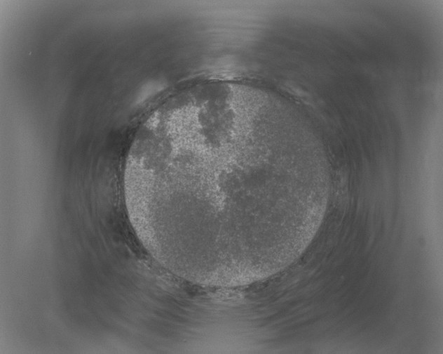 X0000080191446200612302259