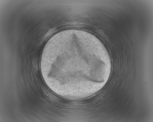X0000080191451200612302259
