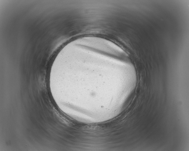 X0000080191452200612302259