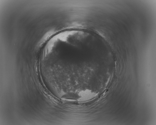 X0000080191455200612302259