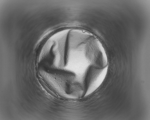 X0000080191456200612302259