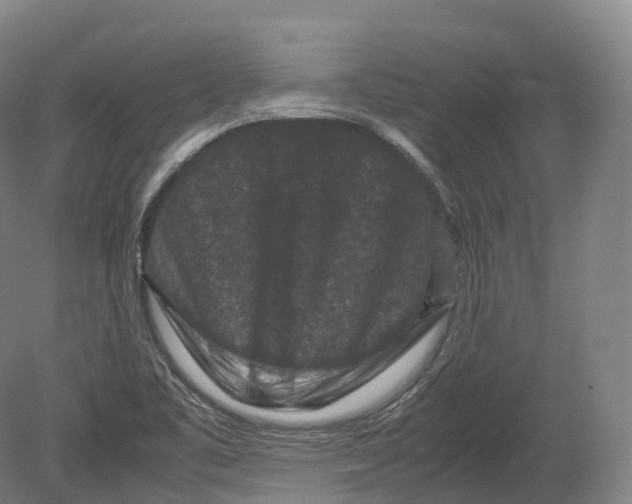 X0000080191461200612302259