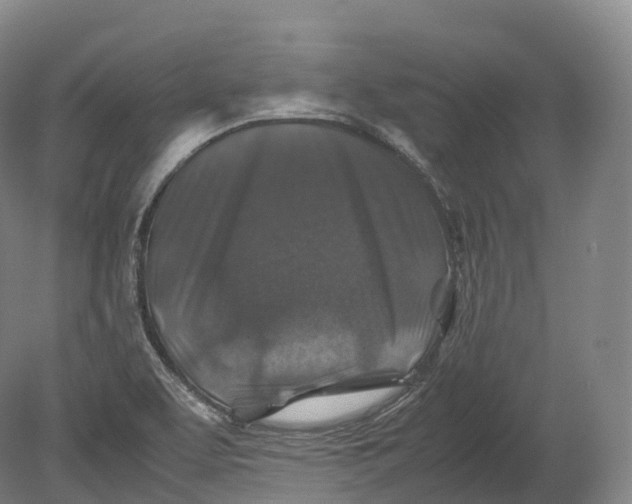 X0000080191463200612302259