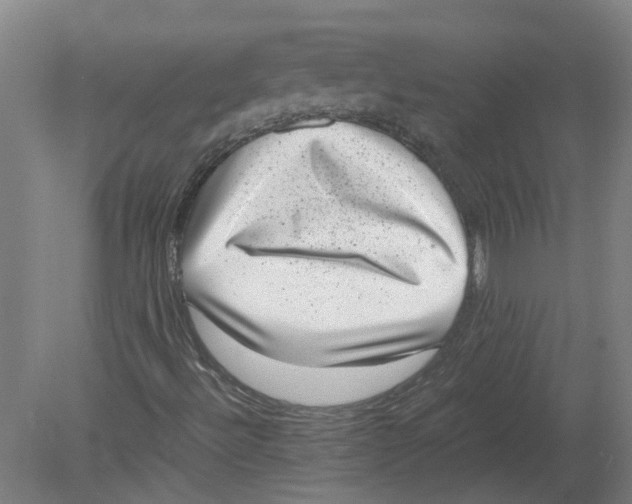 X0000080191492200612302258